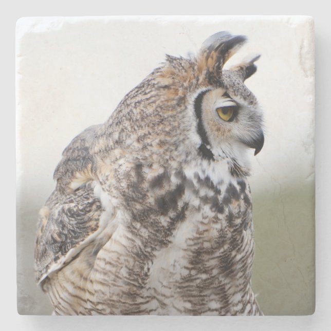 Great Horned Owl Photo Coaster (Front)