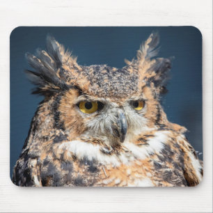 Great Horned Owl Portrait Mouse Mat