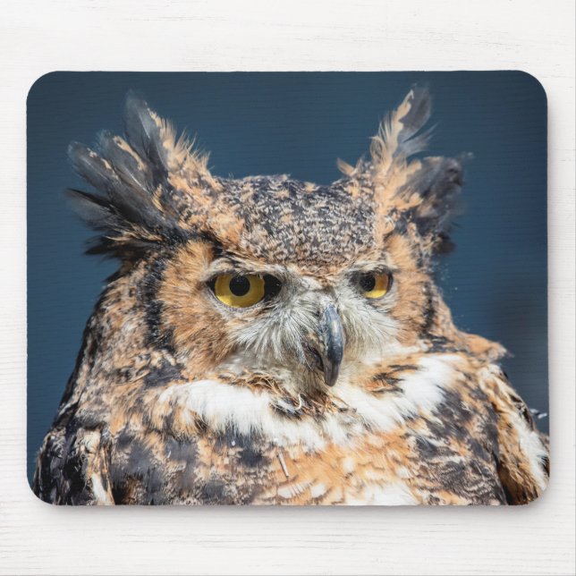 Great Horned Owl Portrait Mouse Mat (Front)