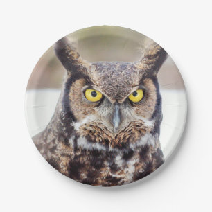 Great horned owl portrait paper plate