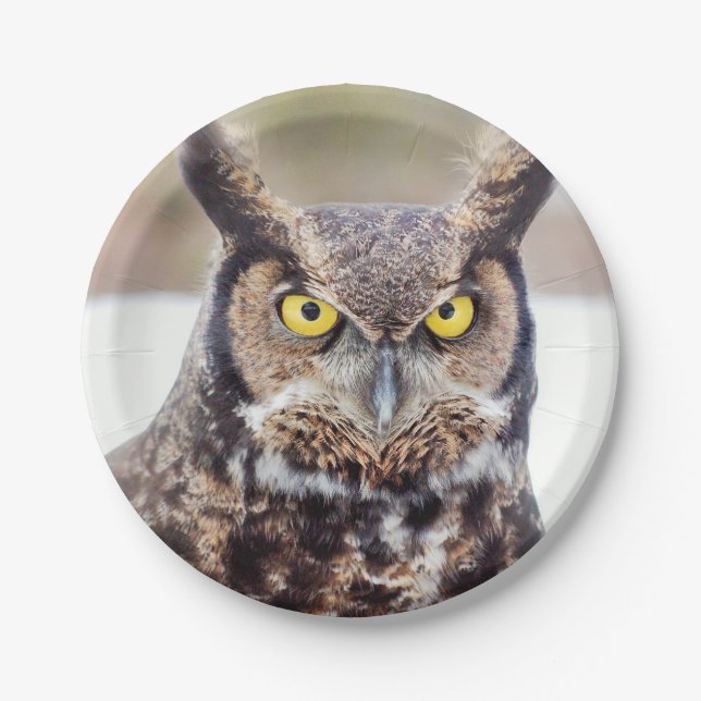 Great horned owl portrait paper plate (Front)
