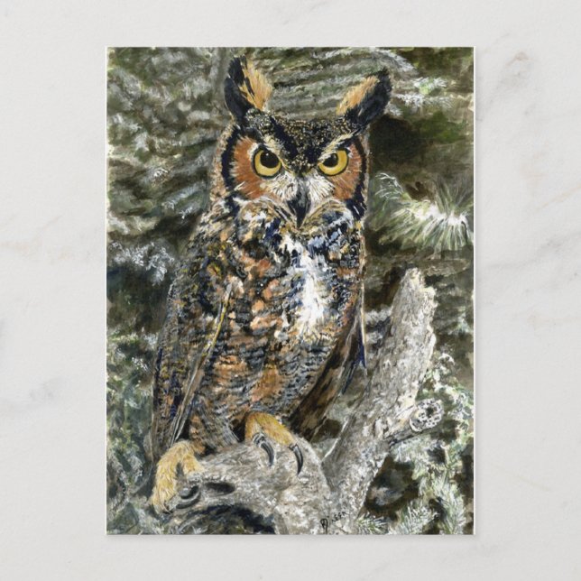 Great Horned Owl Post Card (Front)