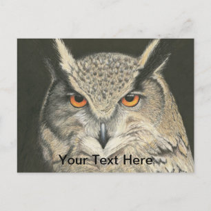 Great Horned Owl Postcard