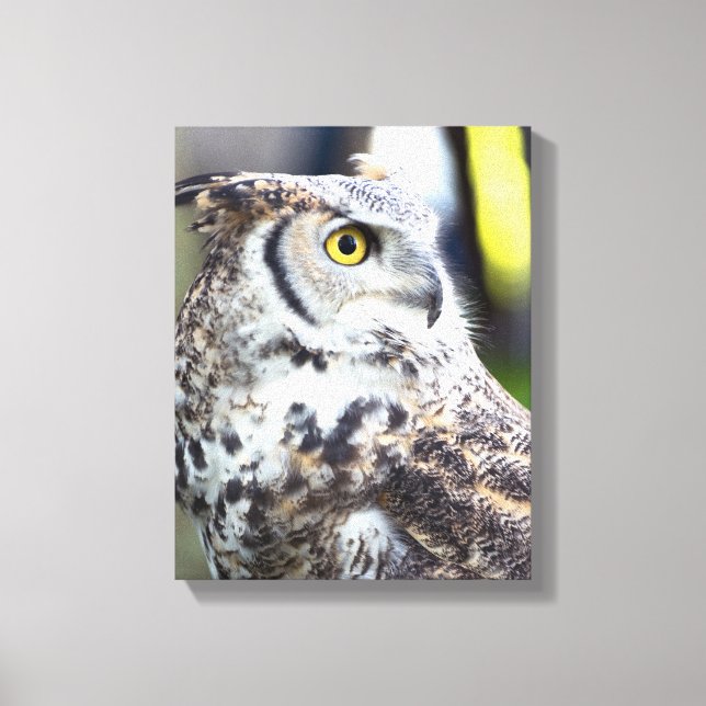 Great Horned Owl Profile Canvas Print (Front)