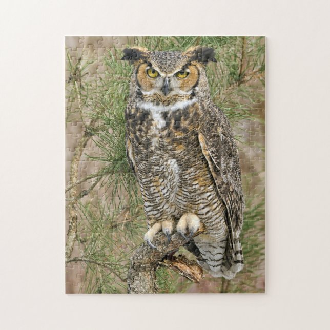 Great Horned Owl Puzzle (Vertical)