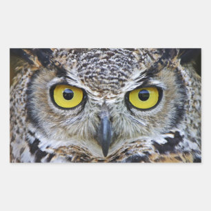 great horned owl rectangular sticker