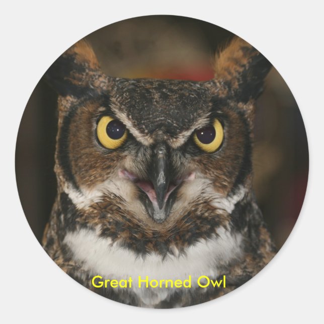 Great Horned Owl Stickers (Front)