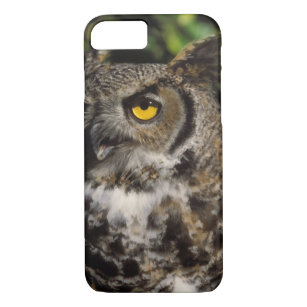 great horned owl, Stix varia, in the Anchorage Case-Mate iPhone Case