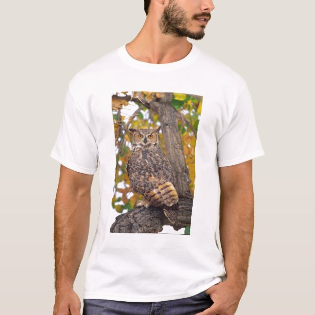 Great Horned Owl T-Shirt (Front)