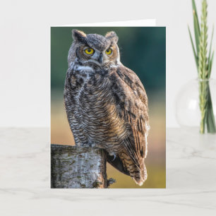 Great Horned Owl Thank You Card