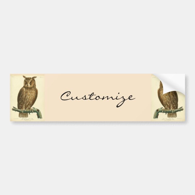 Great Horned Owl Thunder_Cove Bumper Sticker (Front)