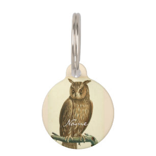 Great Horned Owl Thunder_Cove Pet Tag