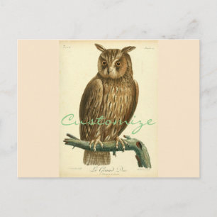 Great Horned Owl Thunder_Cove Postcard