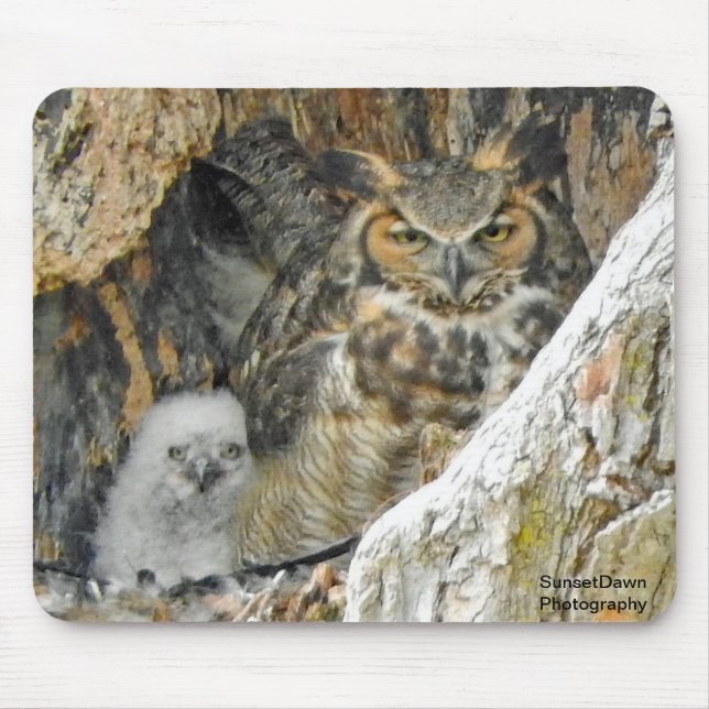 Great Horned Owl with Owlet Mouse Mat (Front)