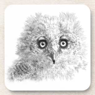 Great Horned Owlet Drawing Coaster
