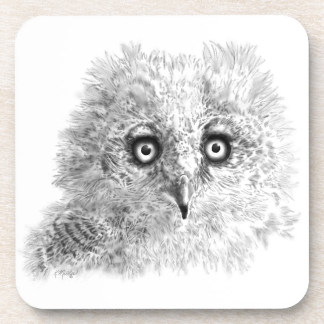 Great Horned Owlet Drawing Coaster (Front)