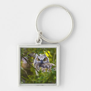 Great Horned Owlet Key Ring