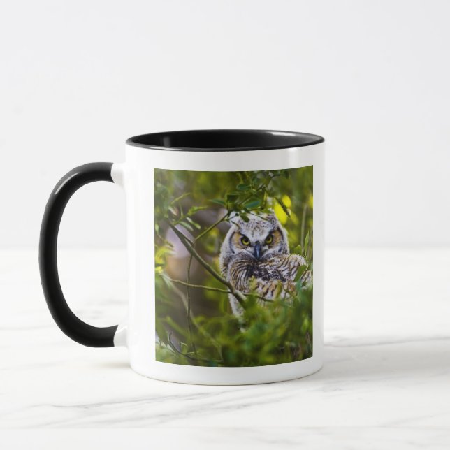 Great Horned Owlet Mug (Left)