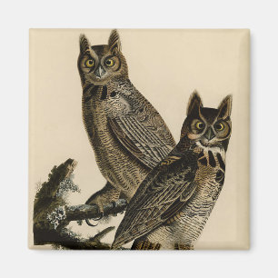 Great Horned Owls (by John James Audubon) Magnet