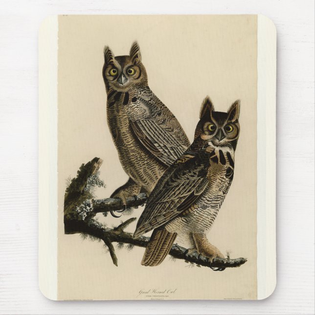 Great Horned Owls (by John James Audubon) Mouse Mat (Front)