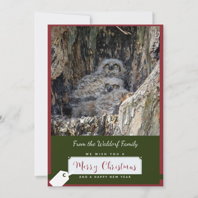 Great Horned Owls Christmas Card (Front)