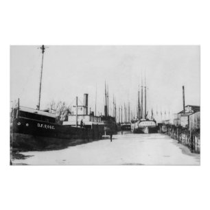 Great Lakes steamers D.F. Rose and Tempest Photo Print