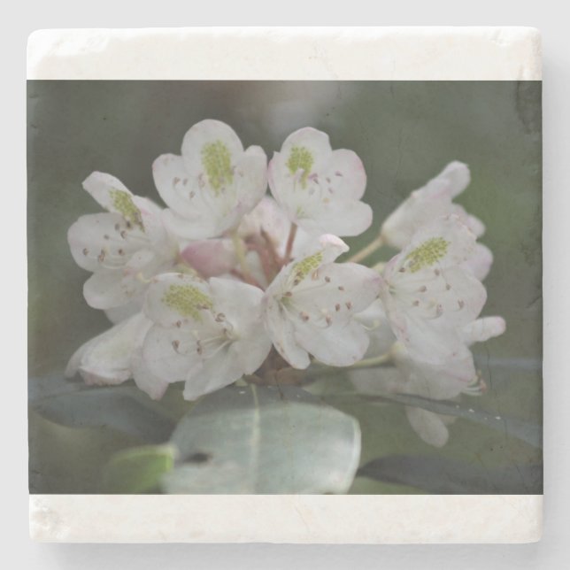 Great Laurel Stone Coaster (Front)