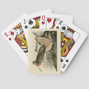 Great Marbled Godwit - Audubon's Birds of America Playing Cards