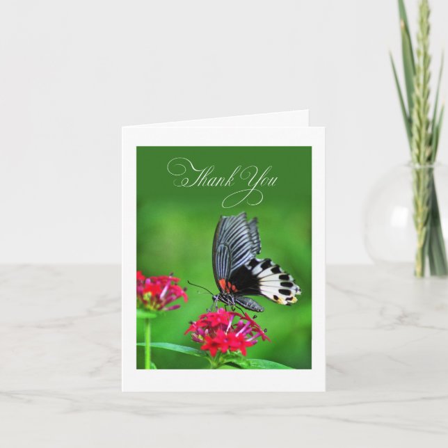 Great Mormon Butterfly in floral setting Thank You Card (Front)