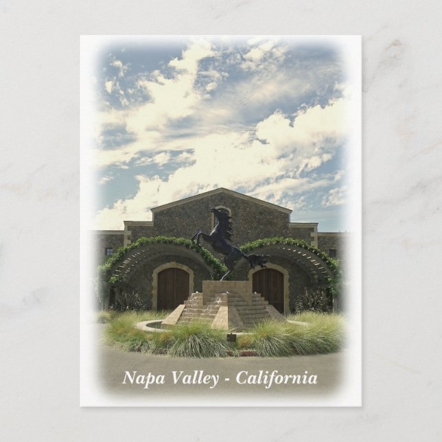 Great Napa Valley Postcard! Postcard (Front)