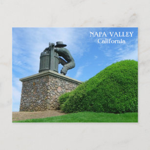 Great Napa Valley Postcard! Postcard