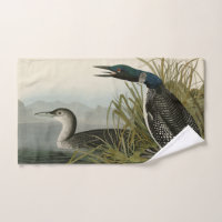 Great Northern Diver Loon Audubon Birds of America