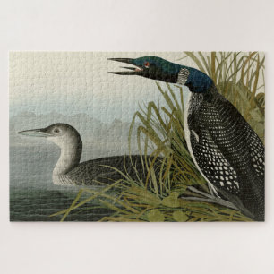Great Northern Diver Loon Audubon Birds of America Jigsaw Puzzle