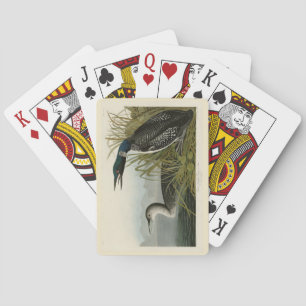 Great Northern Diver Loon Audubon Birds of America Playing Cards