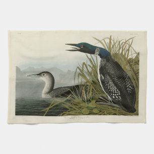 Great Northern Diver Loon Audubon Birds of America Tea Towel