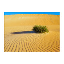 GREAT OCEAN DUNES 10x14