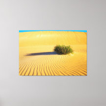 GREAT OCEAN DUNES 40x60