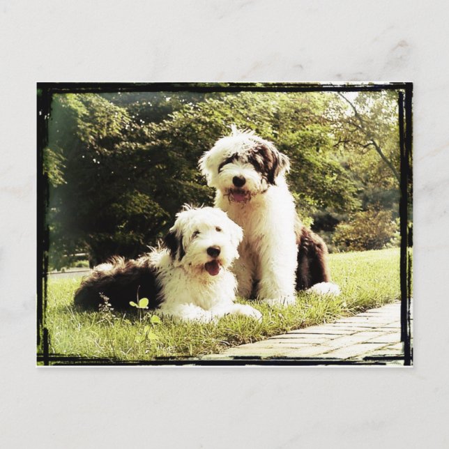 Great Outdoors! Postcard (Front)