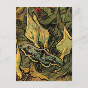 Great Peacock Moth by Vincent van Gogh Postcard