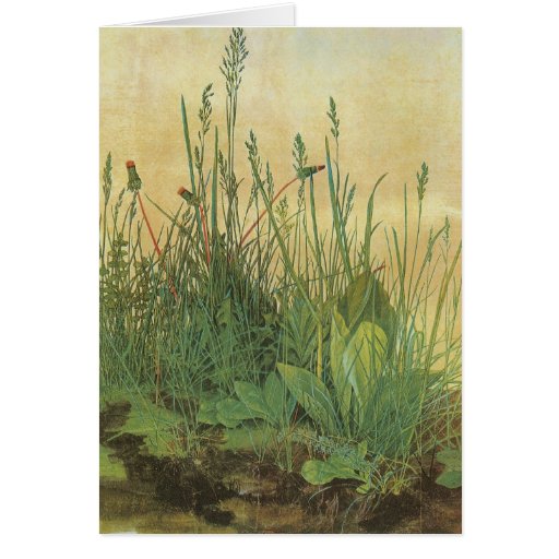Image of Great Piece of Turf by Albrecht Durer, Vintage Art