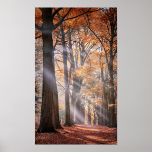 Great Poster of Nature