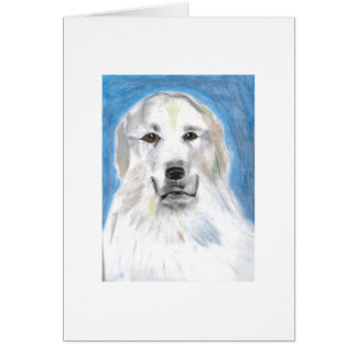 great pyrenees