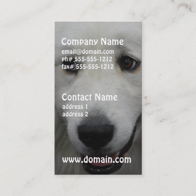 great-pyrenees-20.jpg business card (Front)