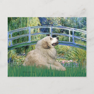 Great Pyrenees 2 - Bridge Postcard