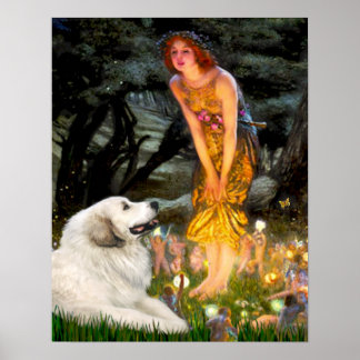Great Pyrenees 2- MidEve Poster