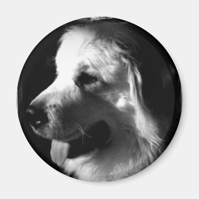 Great Pyrenees Black and White Photo products Magnet (Front)