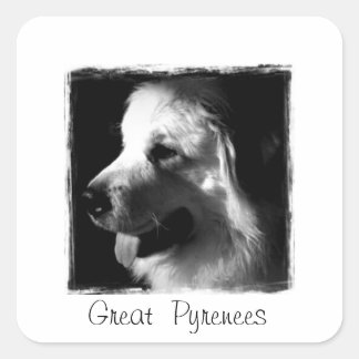 Great Pyrenees Black and White Photo products Square Sticker
