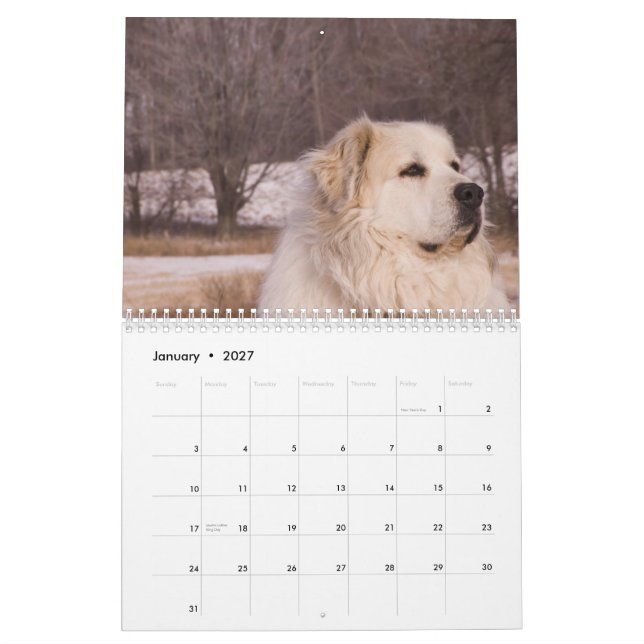 Great Pyrenees Calendar (Jan 2027)