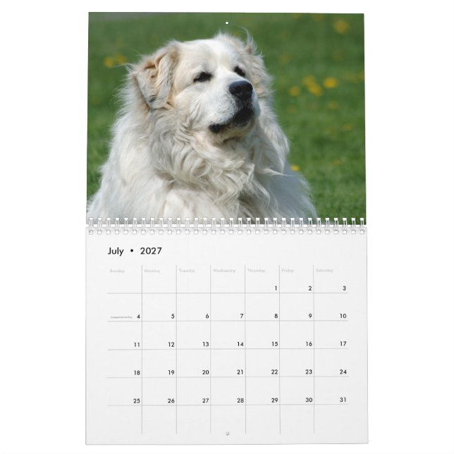 Great Pyrenees Calendar (Jul 2027)