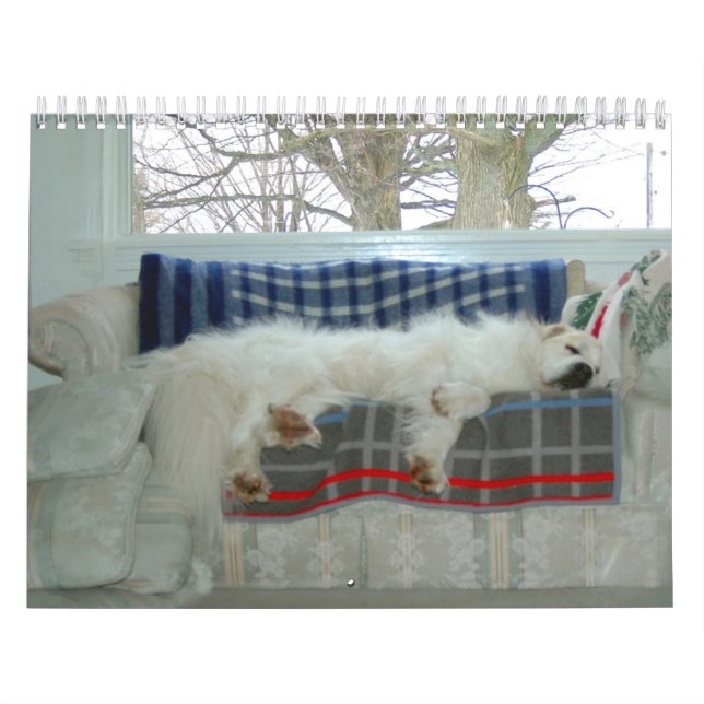 Great Pyrenees Calendar (Cover)